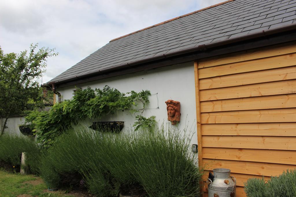 Old Stacks Cottage Annexe Ringwood Εξωτερικό φωτογραφία