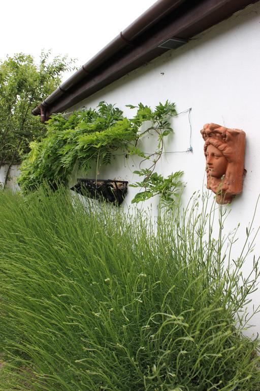 Old Stacks Cottage Annexe Ringwood Εξωτερικό φωτογραφία